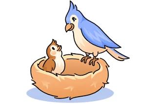 Как стать опекуном или попечителем ребёнка