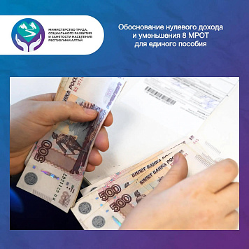 Обоснование нулевого дохода и уменьшения 8 МРОТ для единого пособия в 2026 году