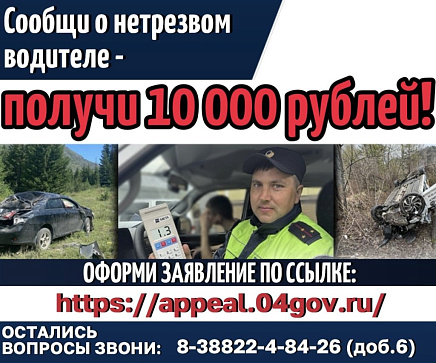 В Республике Алтай за информацию о пьяном водителе выплатят 10 тысяч рублей